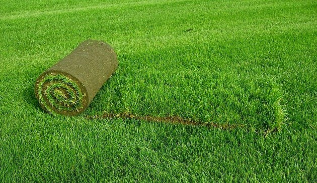 Подготовка почвы под газон